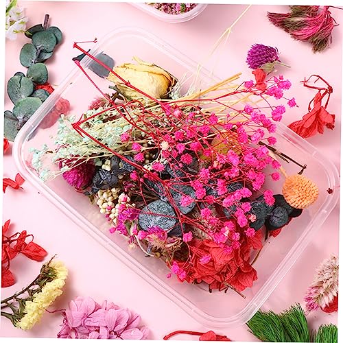Flores secas naturales para manualidades DIY, ecoamigables miniatura 5