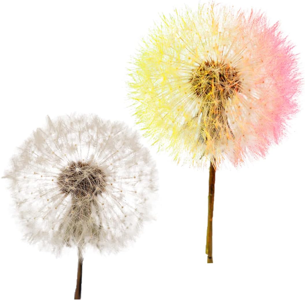 Zayookey Epoxy Resin Molds LED Sphere Silicone Mold Crystal Ball Rechargeable Resin Light Bulb Molds for Resin Casting Candle Wax Soap DIY Making (Warm White)