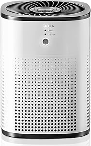 Purificatore aria true hepa thumbnail classifica