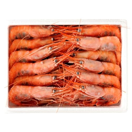 子持ち甘えび 500g〜1kg[容量が選べる] (大 30尾 × 1箱(500g)) [BFAA049]