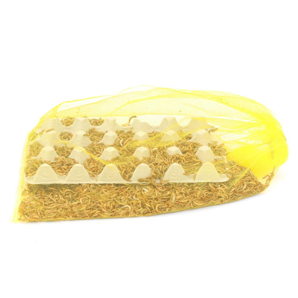 proinsects Lebende Mehlwürmer (1 kg)