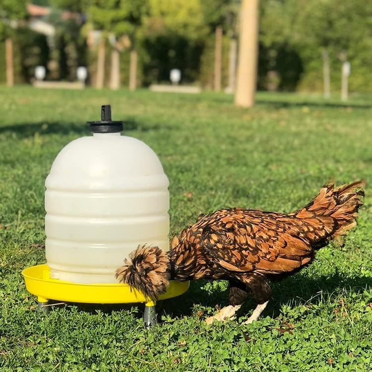 Abbeveratoio da 15L con manico-tappo e piedini