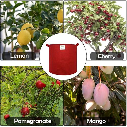 Image of Geo Fabric Grow Bags 24X24 Inch (Pack of 1) | 400 GSM UV-Protected Vegetable Plant Bag | Grow Bags for Terrace Gardening Maroon | Heavy Duty Plant Grow Bag