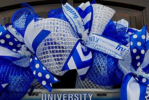University Of Kentucky Wildcats Mesh Wreath In 24 Inch Diameter With Officially Licensed Uk"Go Cats" Car Tag Insert #TOP5
