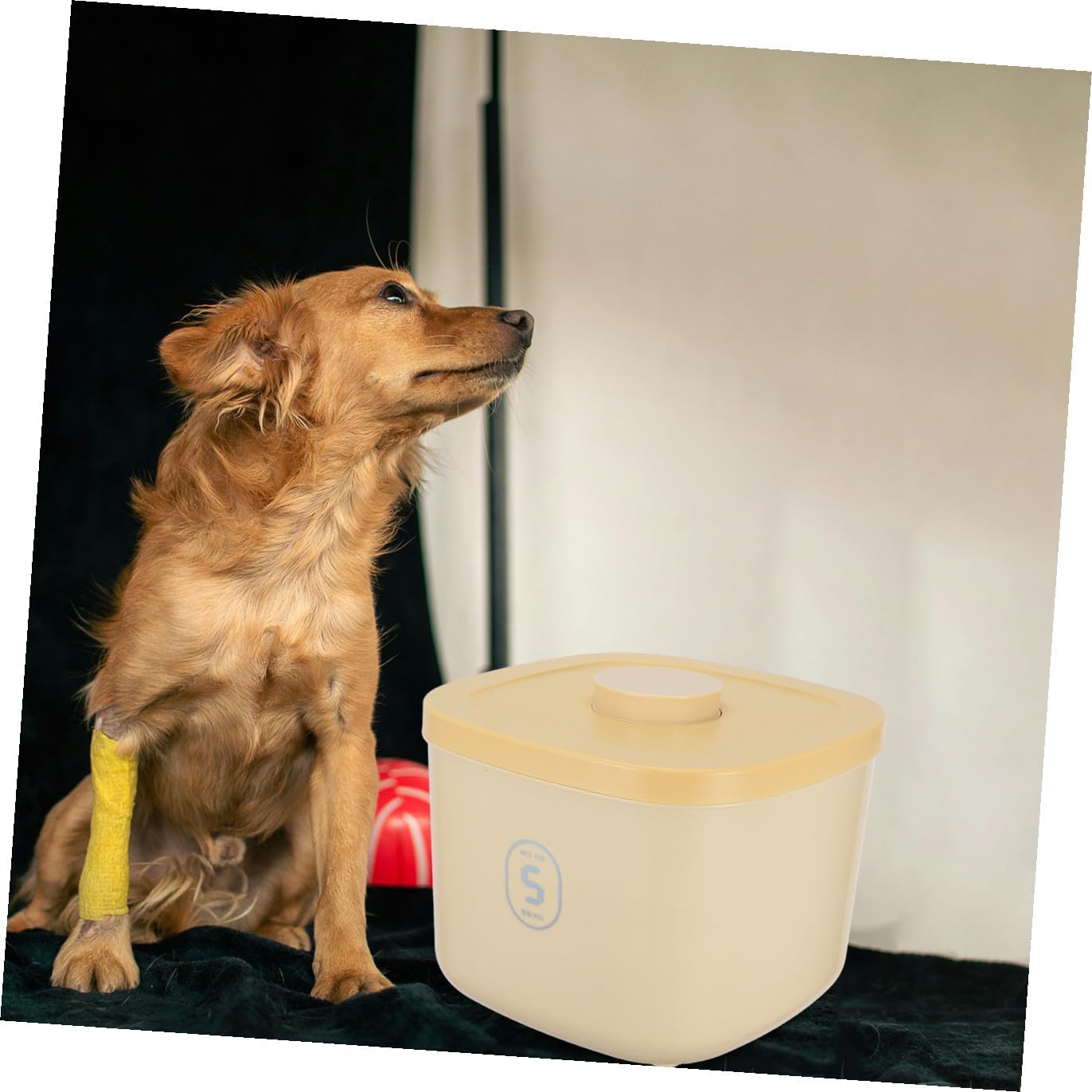 Pet Food Storage Bin Airtight Small Yellow Vacuum Seal Container Moisture-proof Cat and Dog Food Storage for Home Use