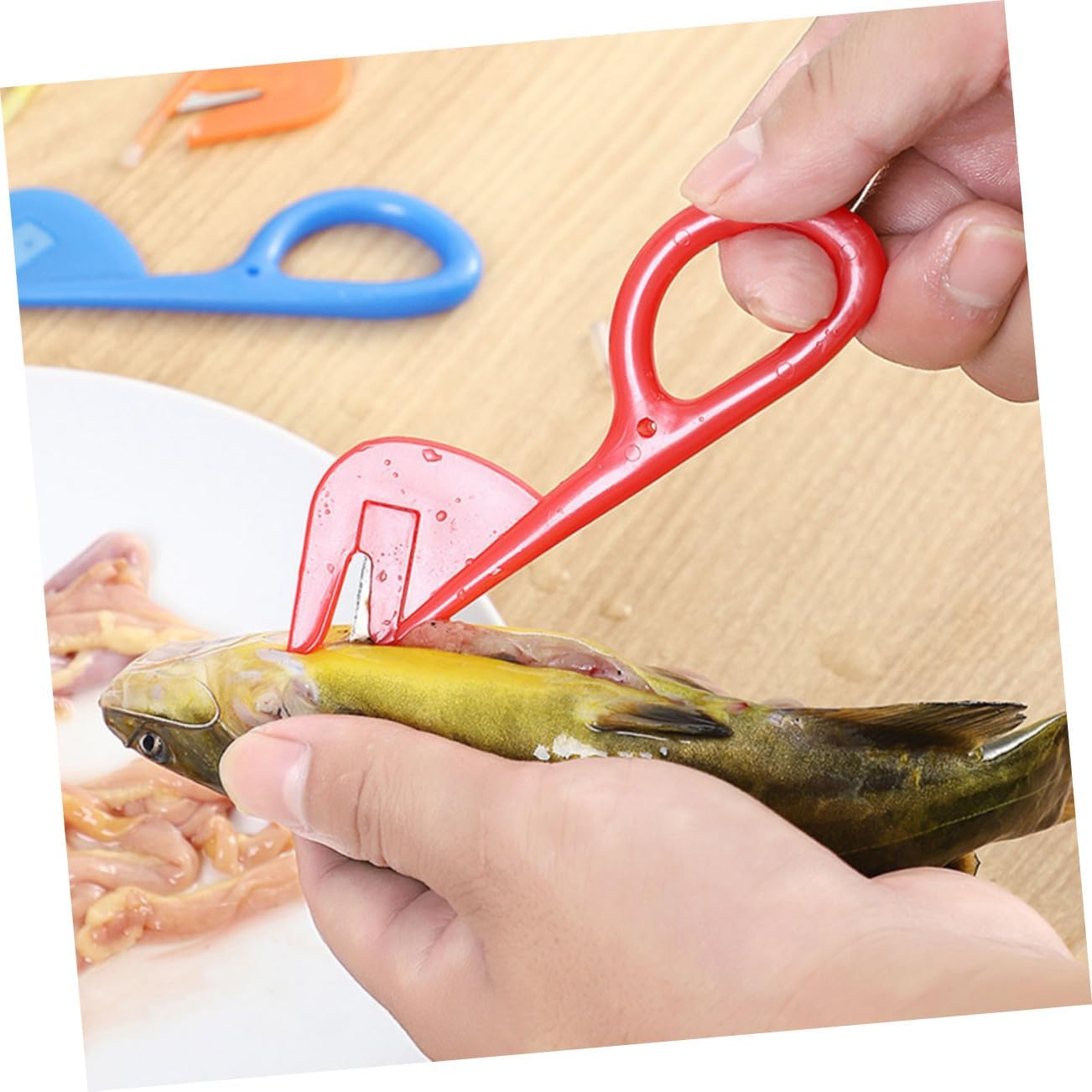 10pcs Kitchen Intestine Knives with ABS Stainless Steel