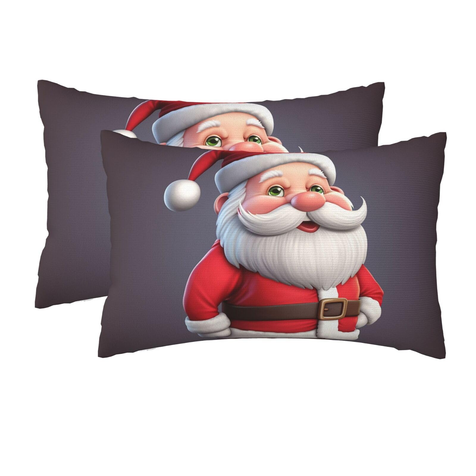 2 Pack Queen Size Pillow Cases for Hair and Skin Soft Breathable Pillow Case Covers with Hidden Zipper Christmas Santa Pillowcase 20x30 Inches Pillow Cover for Sleeping Gift