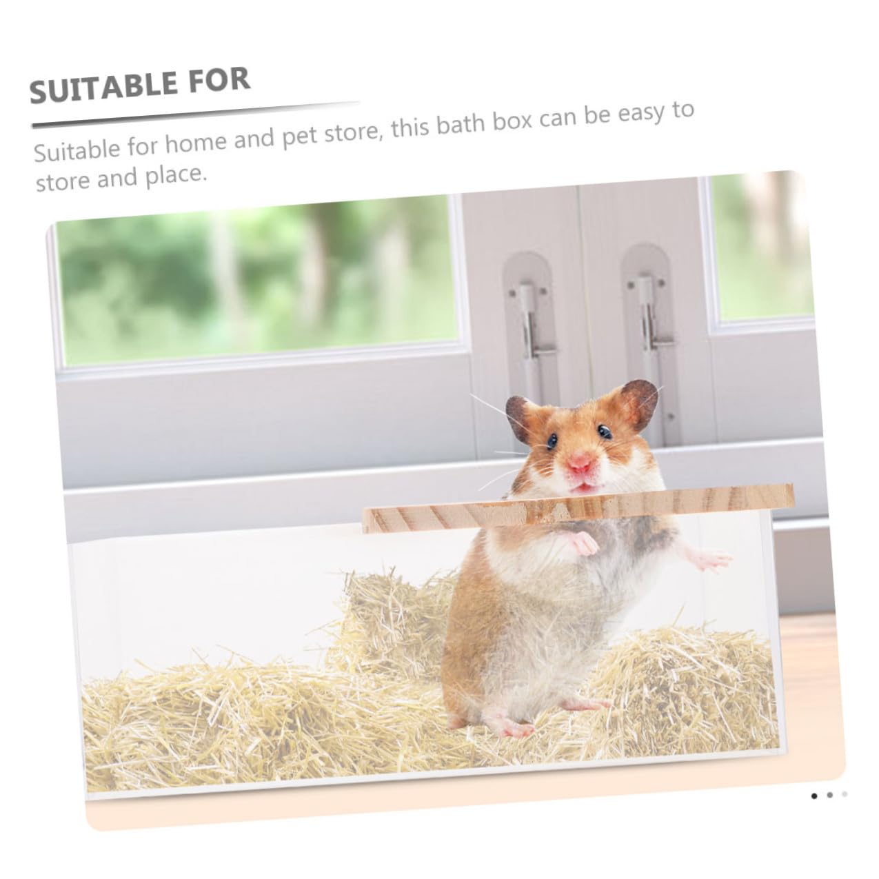 NUOBESTY 2 Stück Acryl Hamster Badewanne für Kleintiere Transparent und Verschleißfest für Baden und Spielen im Zuhause oder Haustiergeschäft
