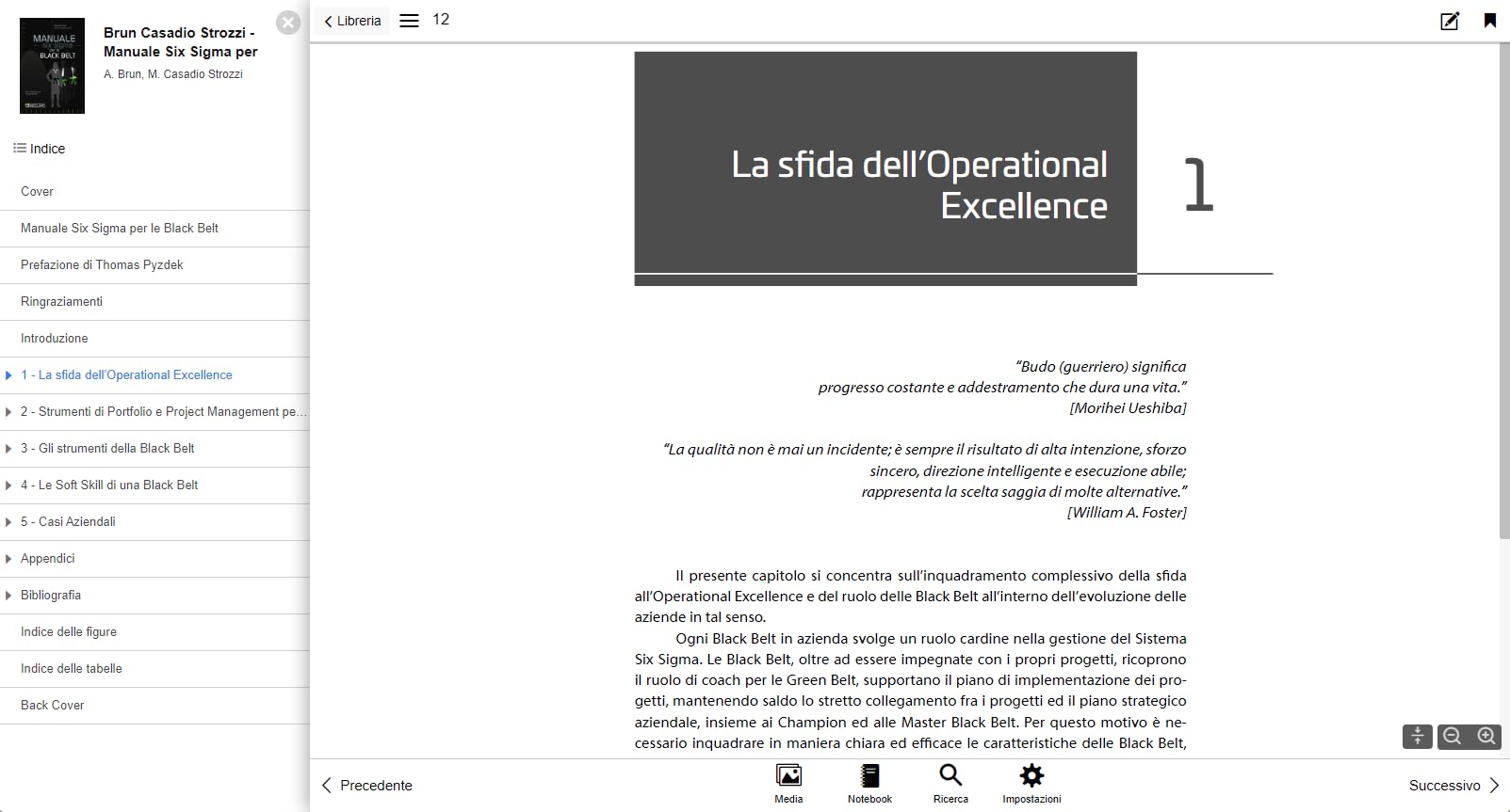 Manuale Six Sigma per le Black Belt