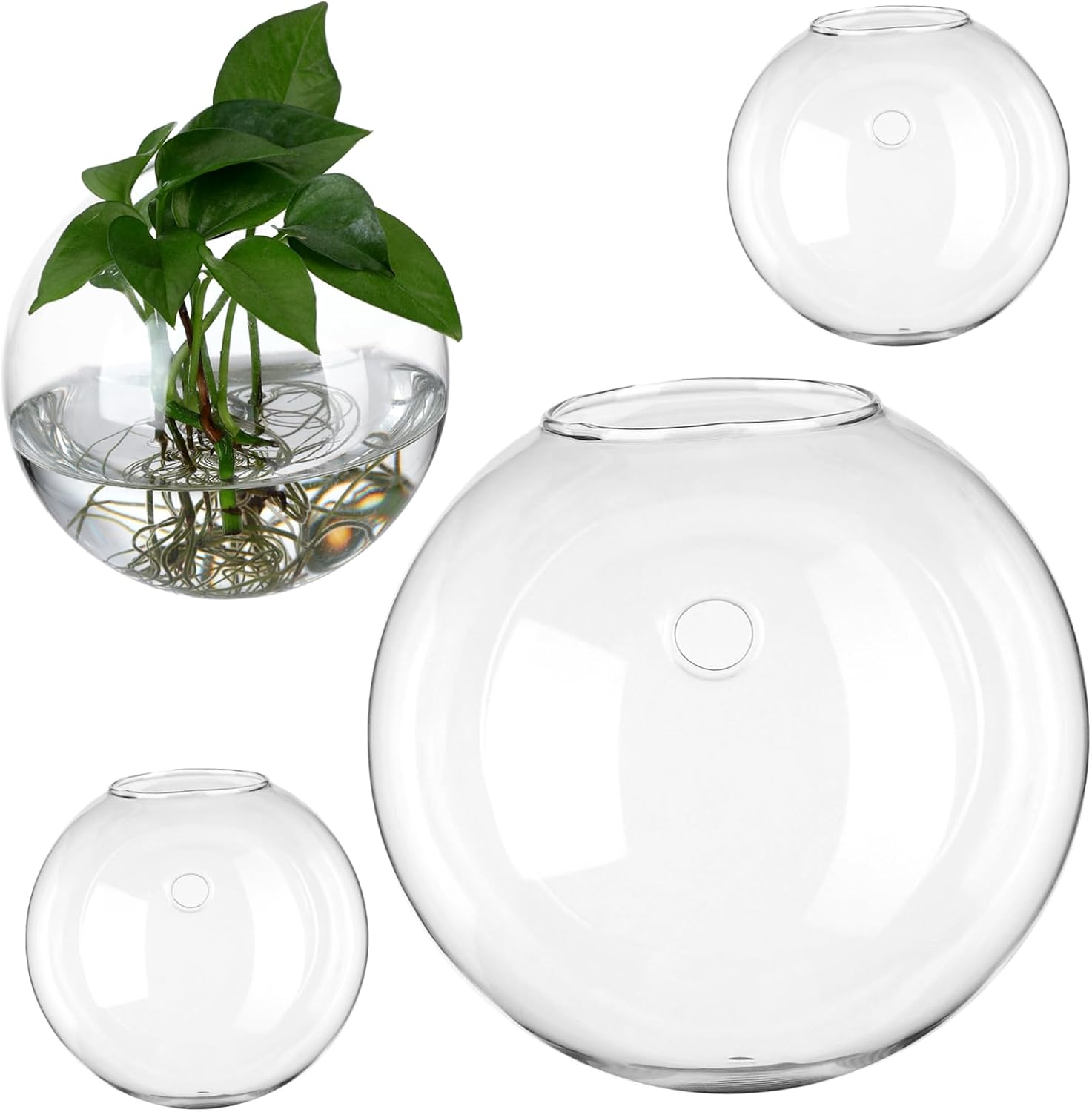 Garneck 4pcs Wall Hanging Glass Planters Transparent Terrarium Plants Holder for Hydroponics Space Saving Wall Mount Vases with High Clarity for Succulents and Air Plants Home Decor