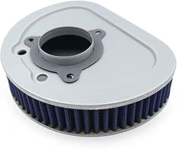 61MeowEJIqL._AC_UF350,