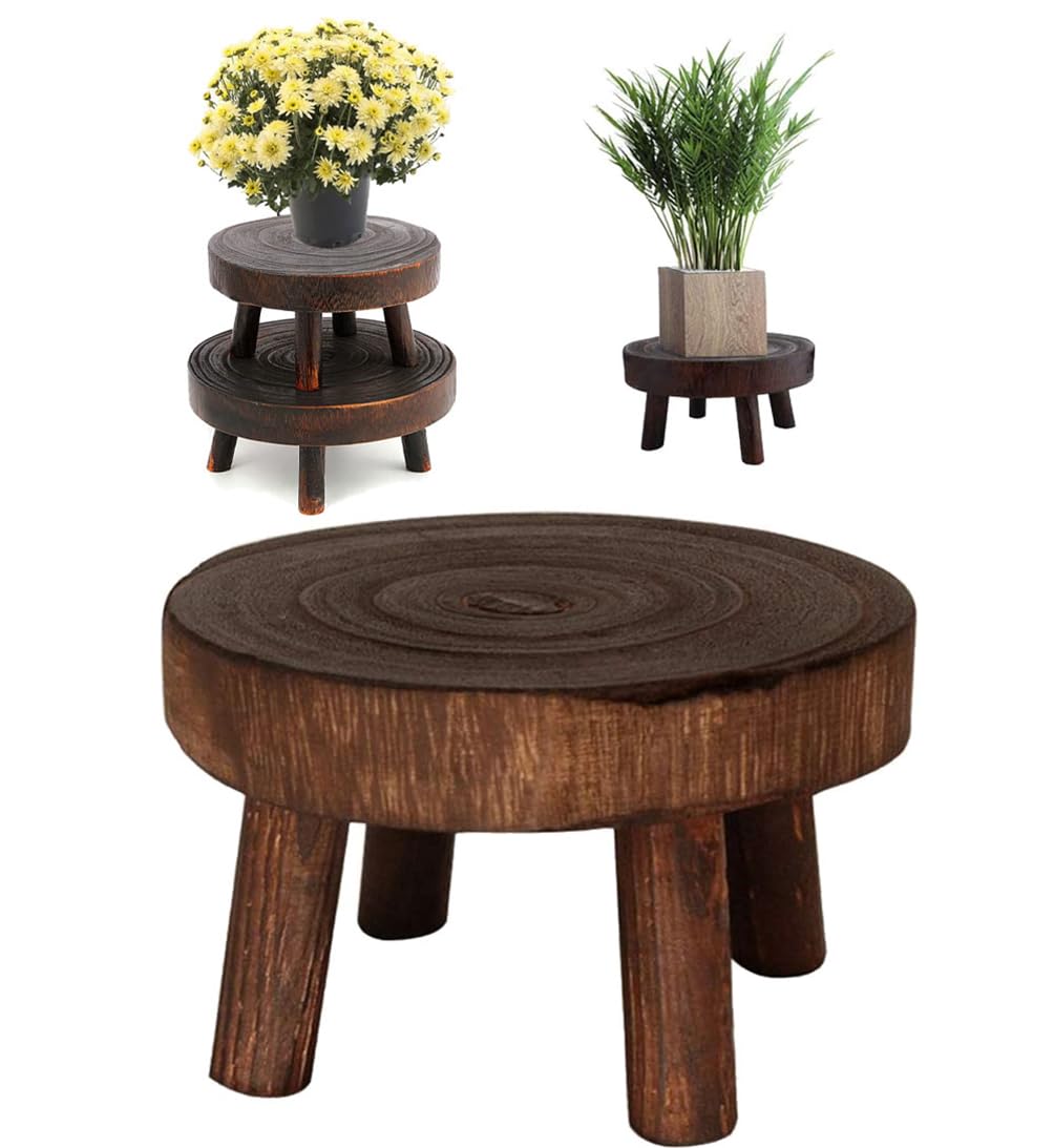 BBAUER Wooden Plant Stand, Mini Round Wooden Stool, Wood Flower Pot Holder, Round Wood Pedestal, Bonsai Rack, Wooden Stool Display Stand, for Outdoor Indoor Home Office Decorations (M)