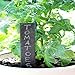 KINGLAKE 10 Pcs 6 inch Slate Plant Labels Garden Labels Tags,Slate Plant Markers for Vegetable Herb