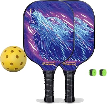 Pickleball Paddle Set, Graphite Pickleball Paddle Set of 2 Beginner Pickleball Racket Edge to Edge Sweet Spot, 1 Pickleball + 2 Pickleball Grip Tape LLY