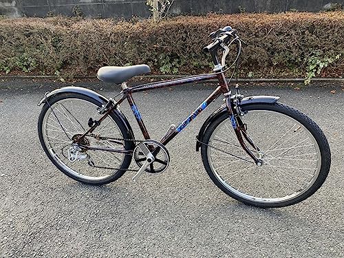 BICYCLE 9色セット 61MeuSfQM0L.jpg