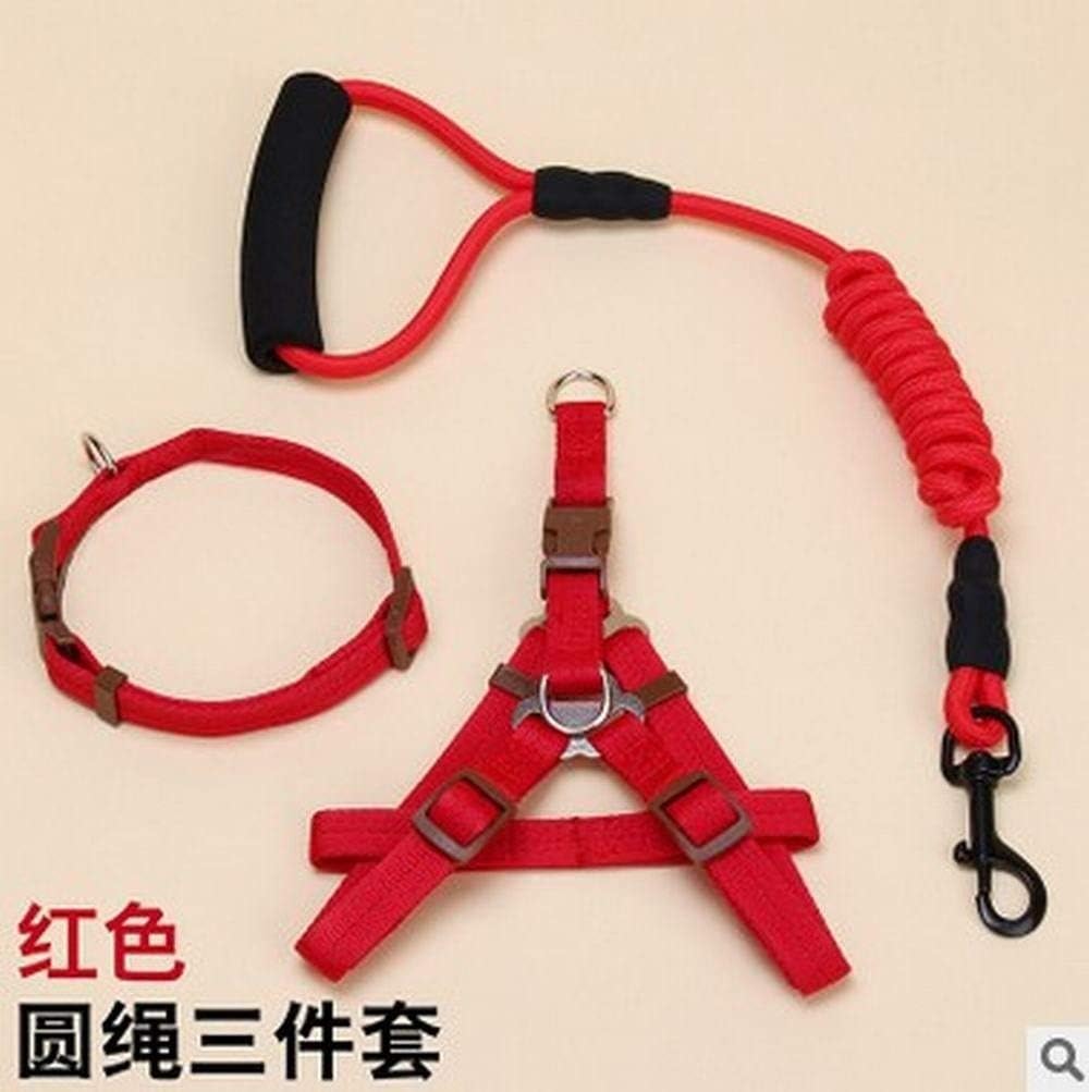 leash,dog leash,cat leash,leash for small dogs,dog leash retractable,leash for big