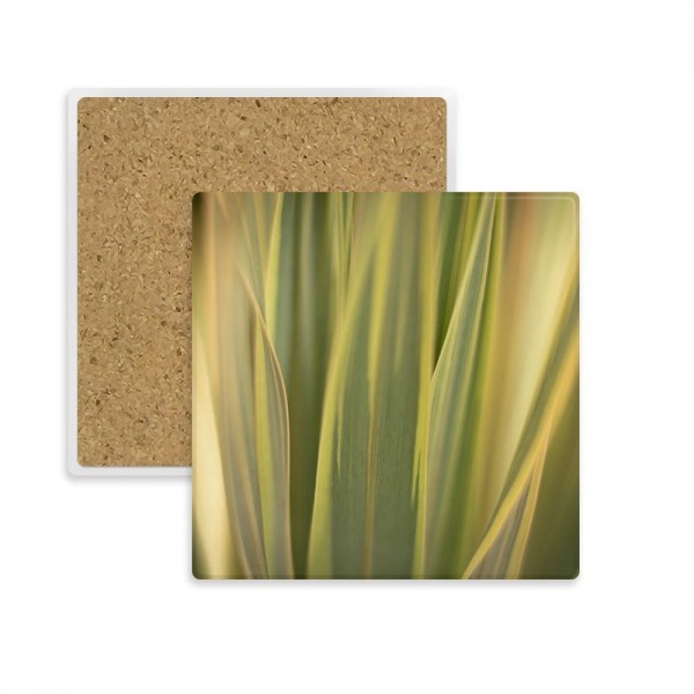 Porte-Pierre Absorbent pour boisson chaude avec motif feuilles des plantes nature image