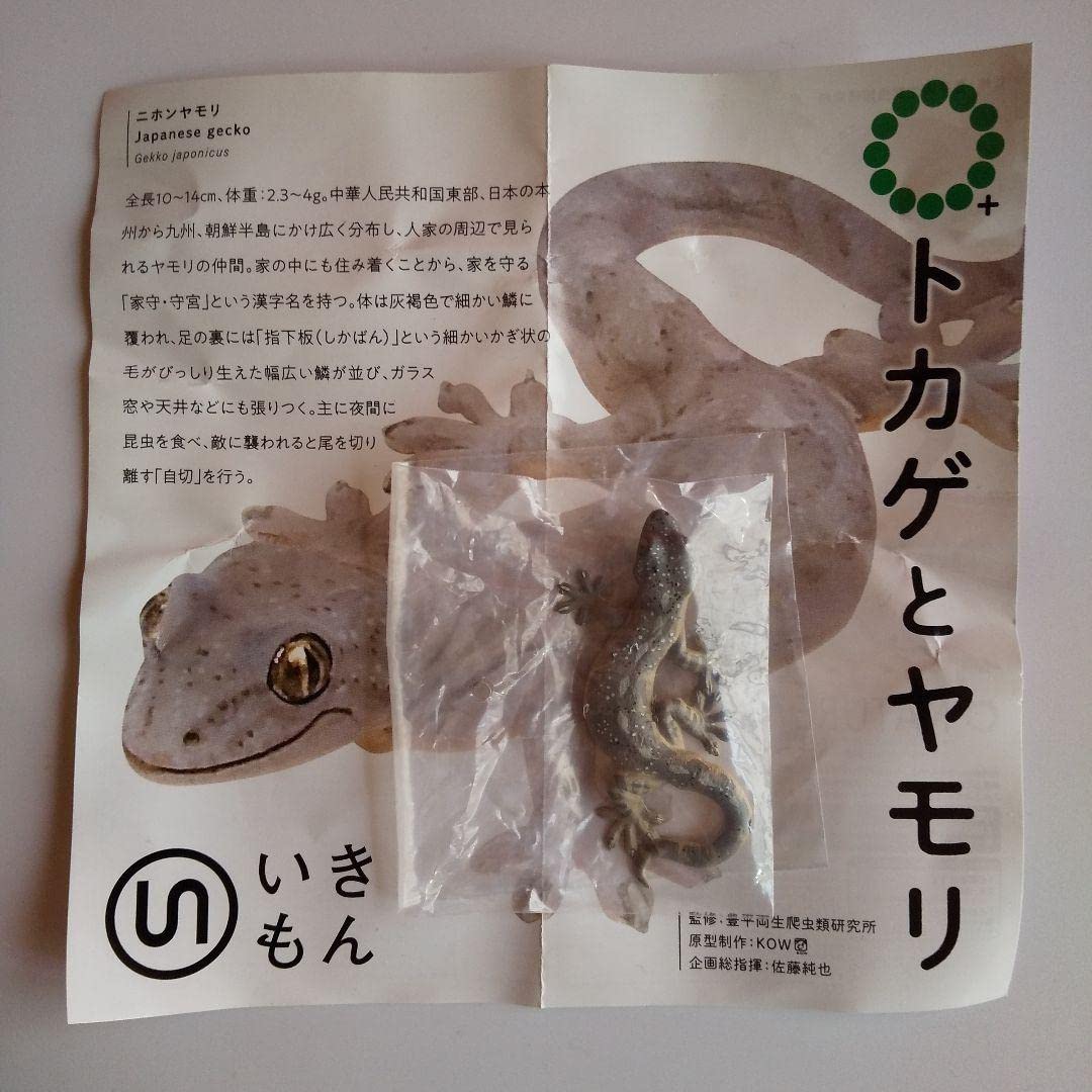 Amazon | ネイチャーテクニカラー トカゲとヤモリ ガチャ | カプセル