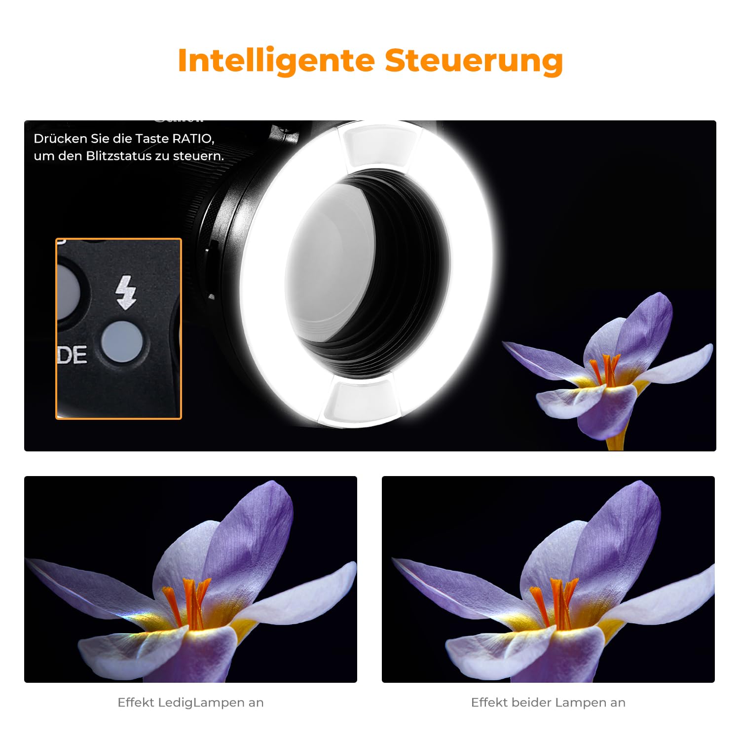 K&F CONCEPT TTL Makroblitz Ringblitz Ringleuchte Blitzgerät mit AF-Hilfslicht Adapterringe | Dual-Blitzröhren Ringblitz Kompatibel mit Nikon DSLR GN14 /D7100/D7200/D50/D70/D80/D500/D750