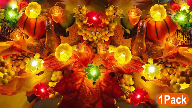 Amazon.com: TURNMEON Fall Decor 30LED/10Ft 3D Pumpkin Lights
