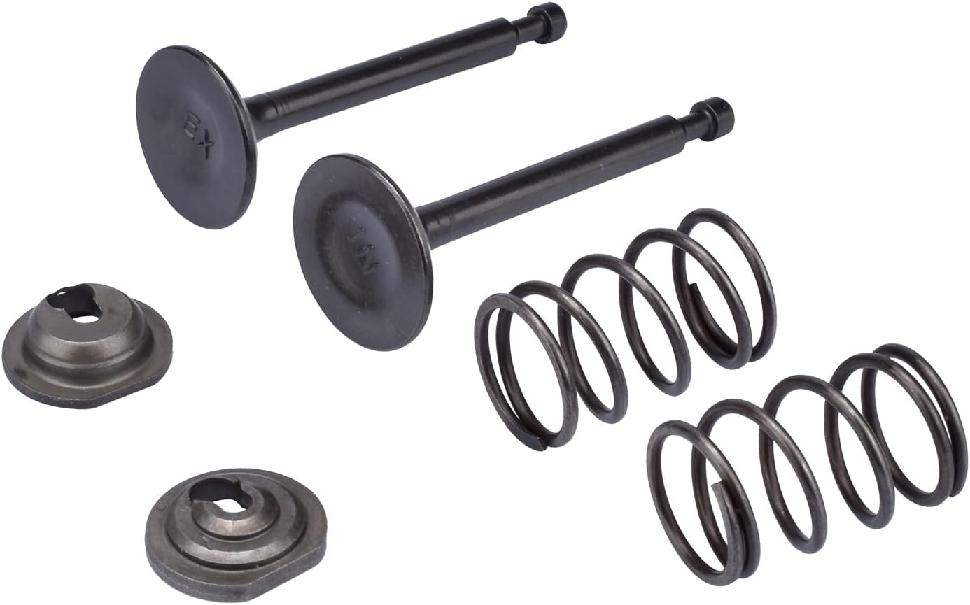 Cancanle Intake Inlet Exhaust Valve Spring Collet Retainer Set For HONDA GX160 GX200 168F 170F 5.5-6.5HP Gas Engine Motor Generator Mower