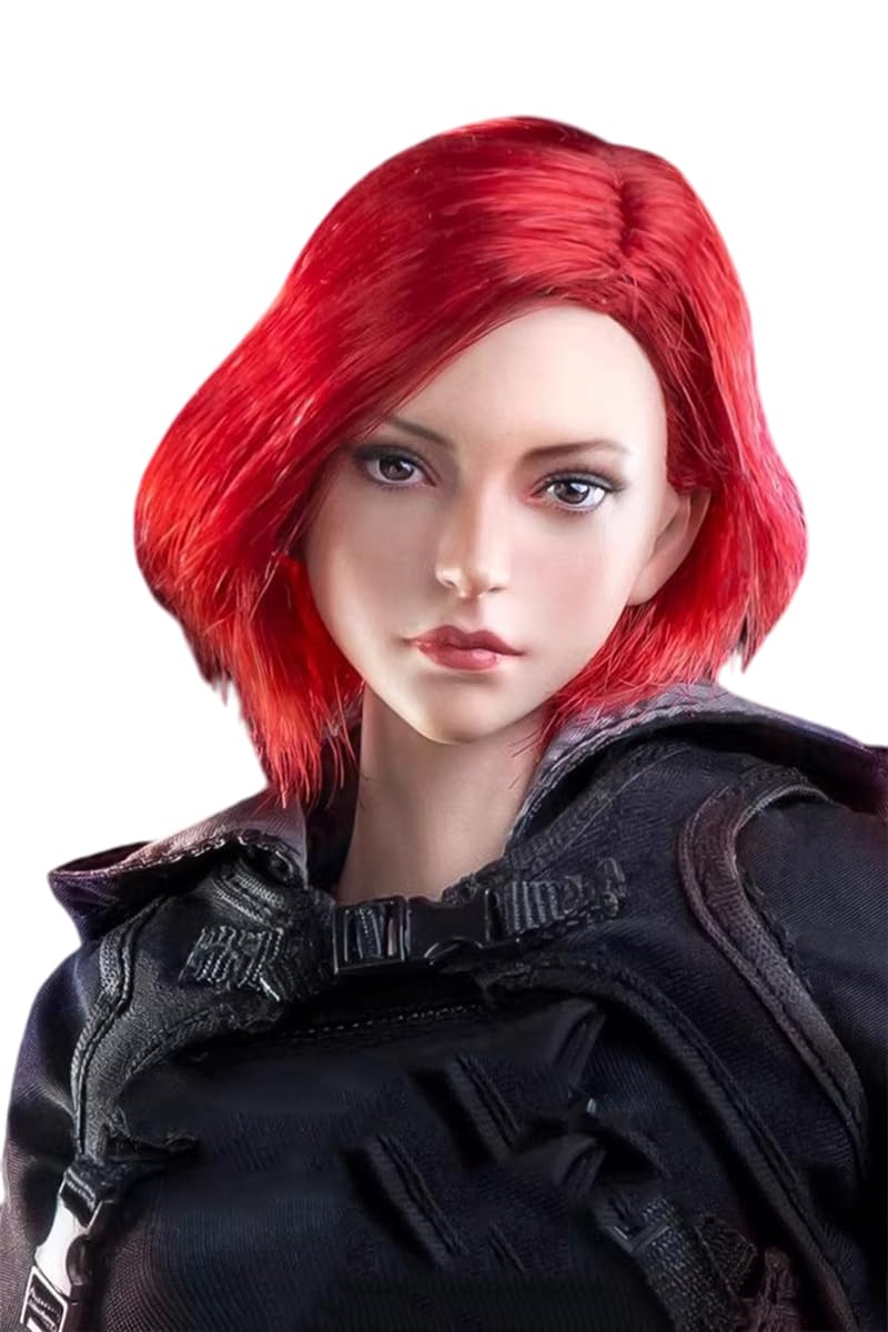 ZSMD 1/6 Scala Femminile Testa Sculpt Europeo e Americano Donne Headsculpt (Marrone Capelli Rossi) per Phicen Corpo Femminile (2 Pezzi