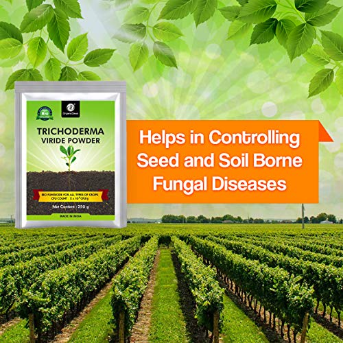 Image of OrganicDews Trichoderma Viride Powder 250 g (2 x 10⁸ CFU per Gram) Bio Fungicide For Plants Controls Root /Stem Rot