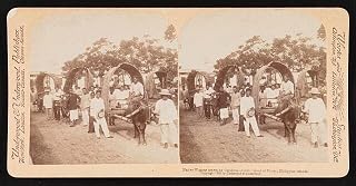HistoricalFindings Photo: Wagons Drawn by Caraboss, Iliolo, Island of Panny, Philippine Islands 1900