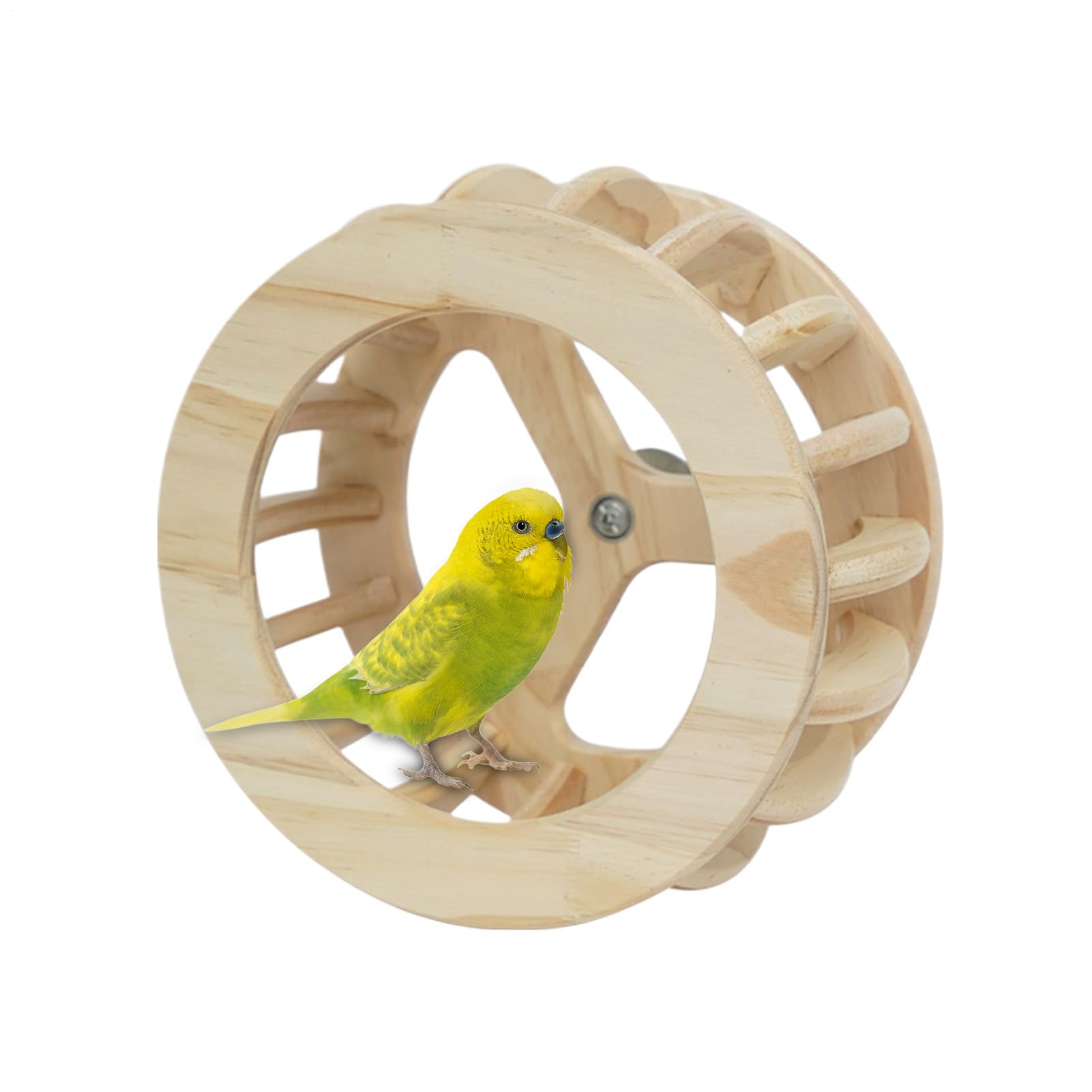 Perchoirs Pour Oiseaux Enrichissement Intellectuel En Bois