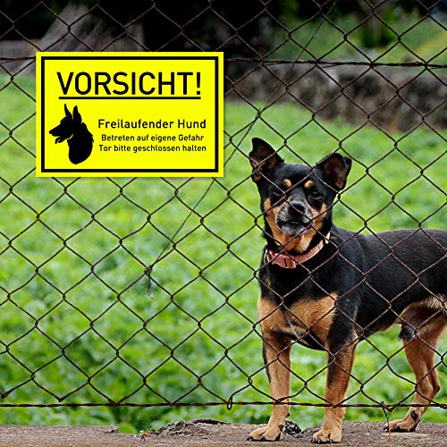 Vorsicht Hund Schild (30x20 cm Kunststoff) - Hundeschilder - Warnung vor dem Hund Schilder - Hundeschild Wetterfest - Hundewarnschilder - Achtung bissiger Hund (Neongelb) - Schäferhund