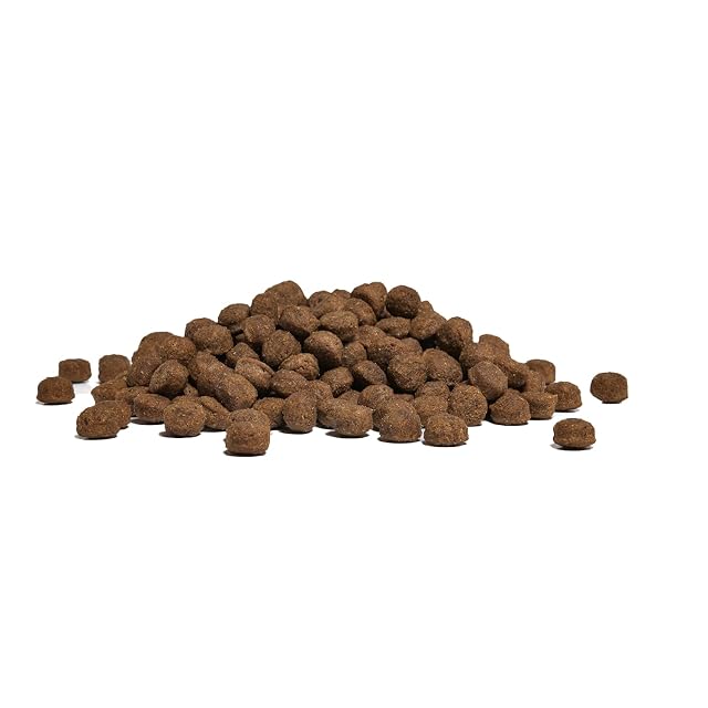 Amykus Hypoallergenic Grain Free Chicken & Duck 12,5 kg