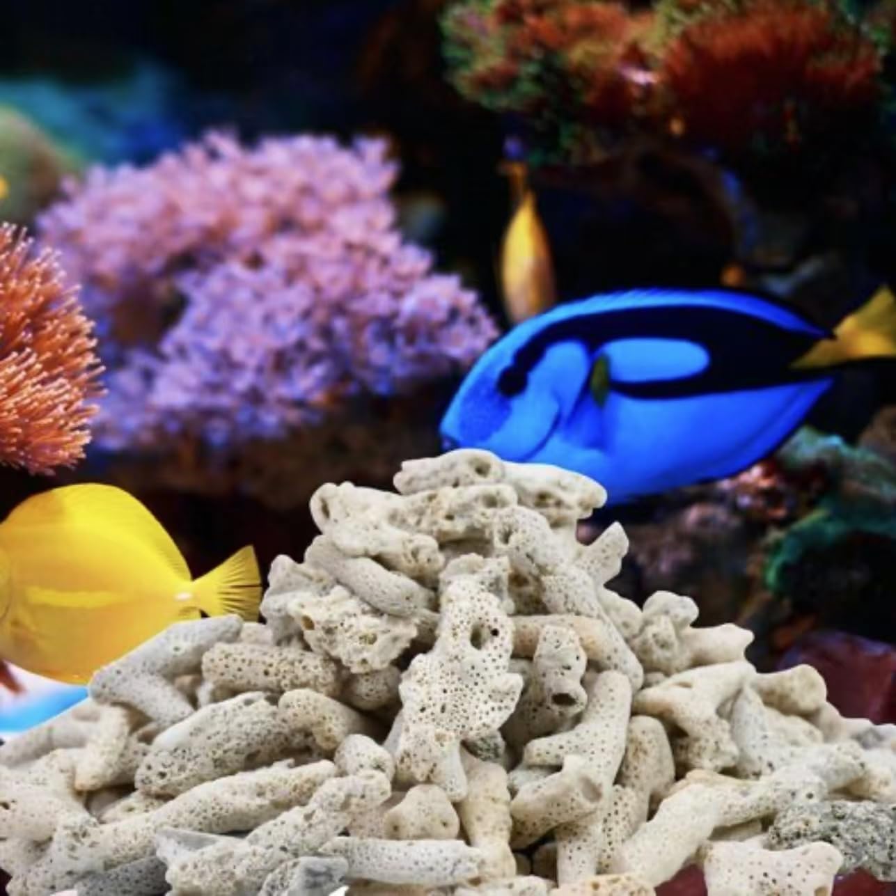 8-Quart Digital Air Fryer