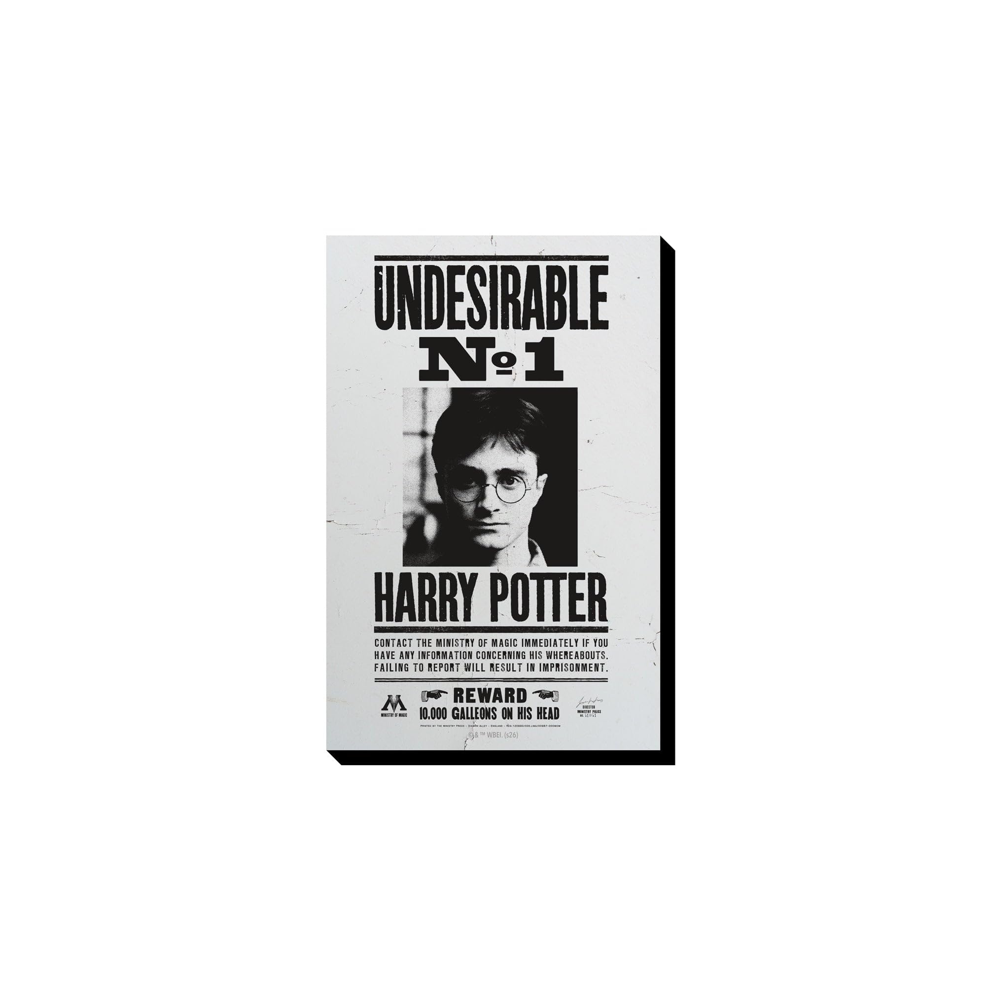Aquarius Multi Color Harry Potter Wanted Funky Chunky Magnet