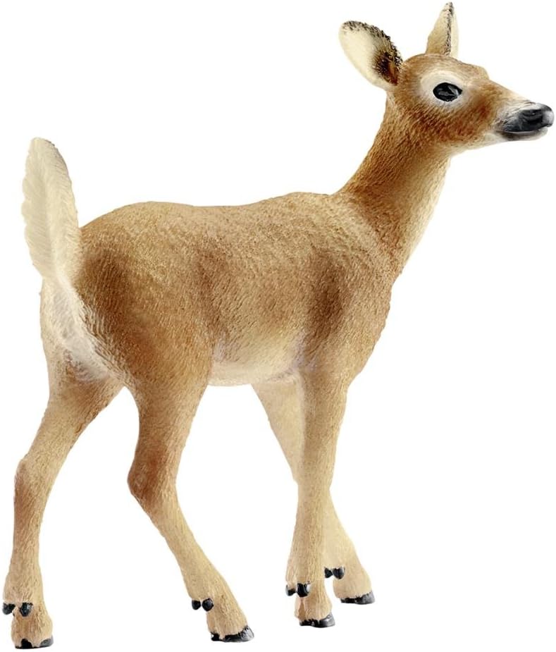 Schleich Wild Life, Animal Figurine, Animal Toys for Boys and Girls 3-8 Years Old, White-Tailed Doe, Ages 3+
