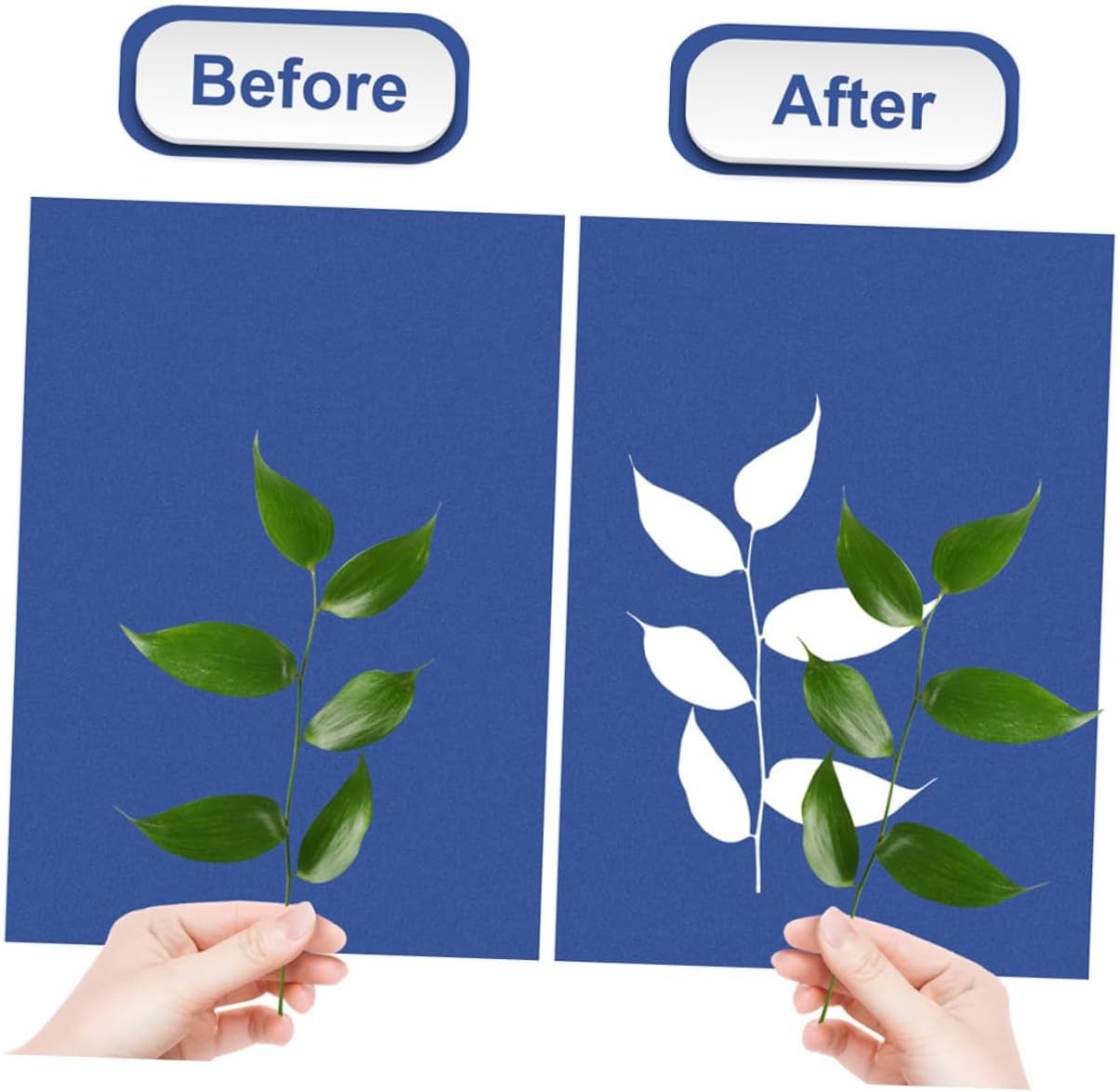 Cyanotype Art Printing Paper of Solar Activated Printing Papers Sun Diy Material for School Events Parties