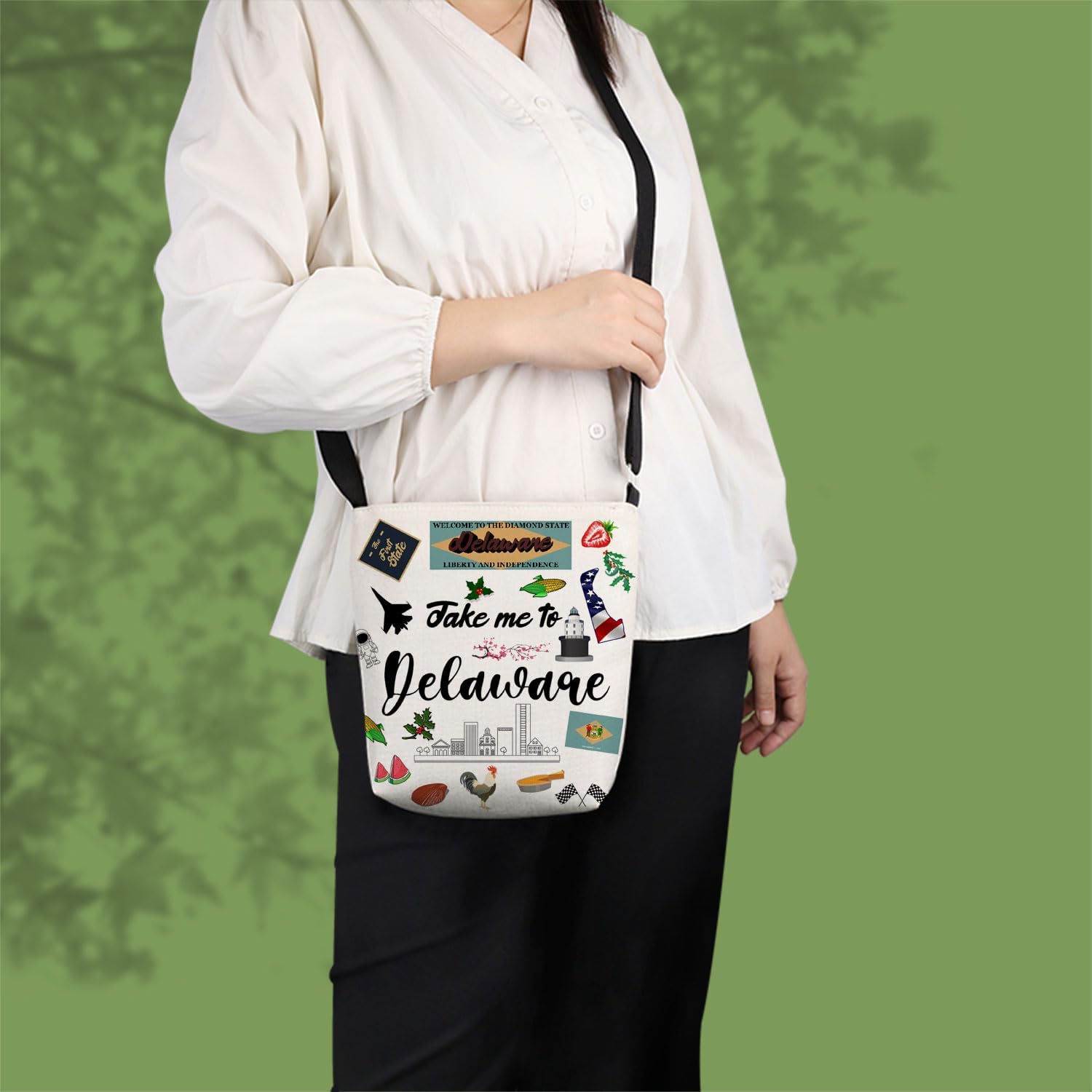 Take Me To Delaware Print Canvas Crossbody Bag, Adjustable Strap Lightweight Purse with Top Zipper & Inner Pocket, Daily Shoulder Bag Delaware Travel Gift for Women - Image 2