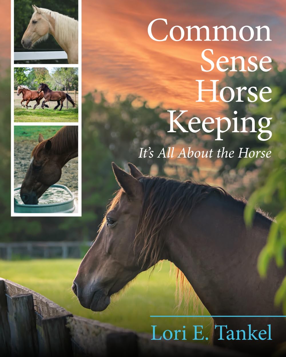 Common Sense Horse Keeping: It's All About the Horse