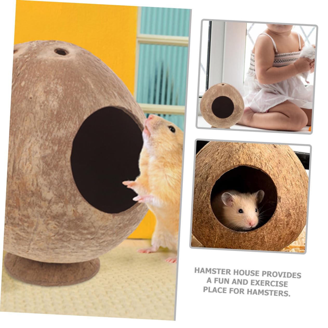 BESTonZON 2stücke Kokosnusshütte Für Hamster Und Kleintiere Versteckhaus Aus Kokosnussschalen Zum Verstecken Spielen Und Ausruhen Für Hamsterkäfige Und Meerschweinchenverstecke