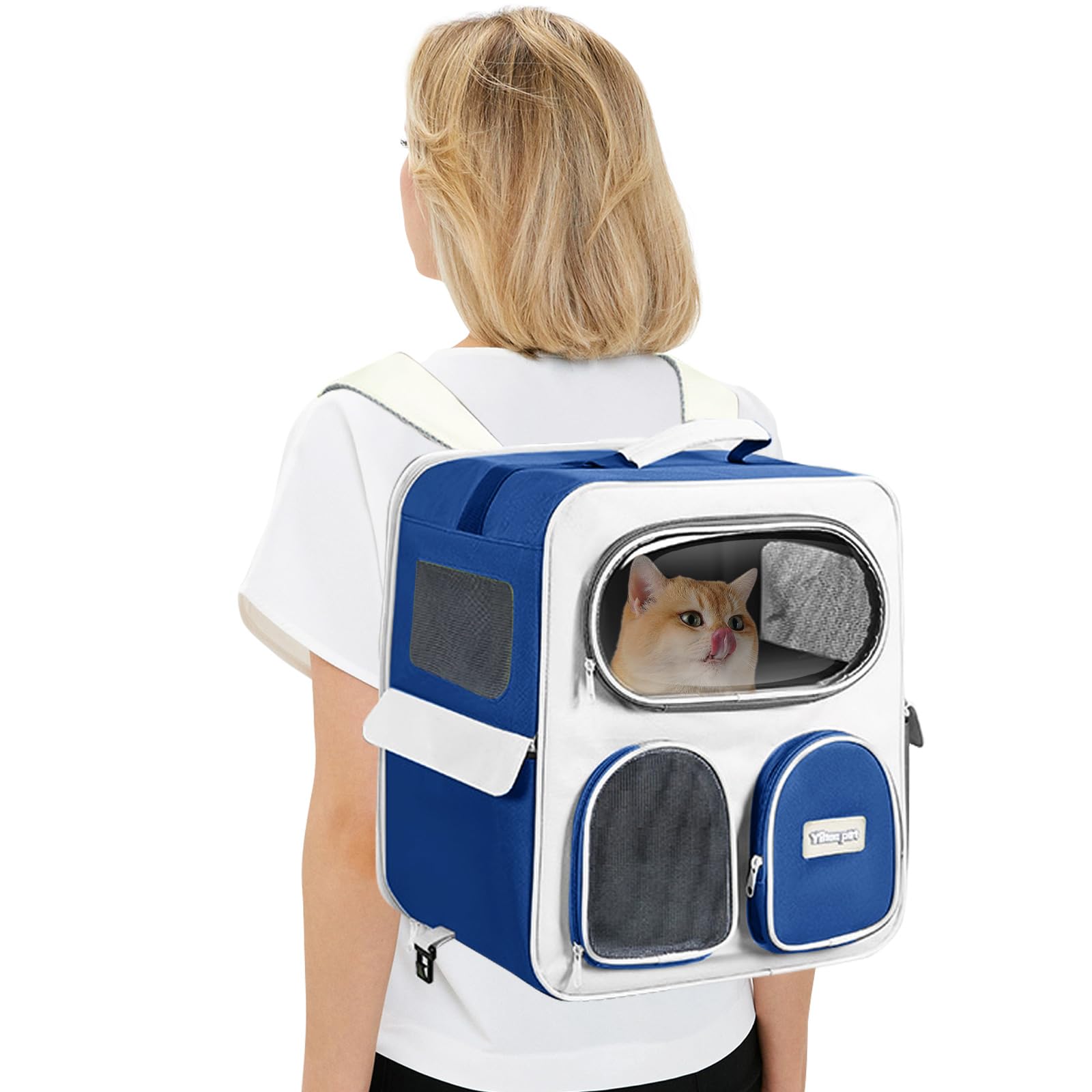 PETCUTE Mochila para Gatos con Ruedas,Mochila Plegable para Perros con Bolsillos,Multifuncional,Transpirable Mochila Transportin Gato para Mascotas,para Perros y Gatos de hasta 9kg,para Viajes