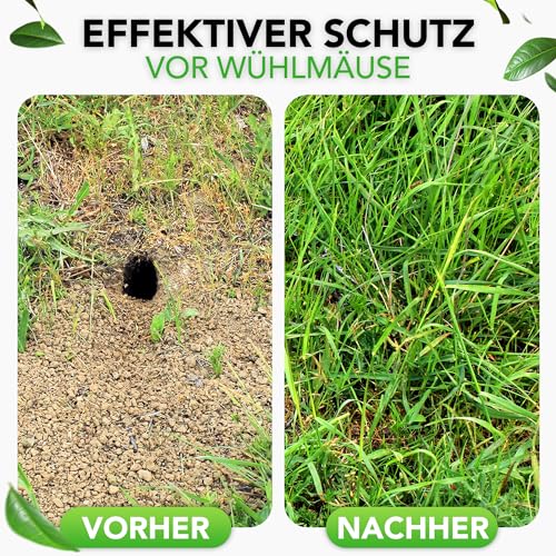 Drahtgitter feinmaschig - 5 x 0,5 Meter - Gitter, Kaninchendraht, Volierendraht, Maschendraht, Maulwurfgitter, Hasendraht Feinmaschig, Maschendrahtzaun 50cm