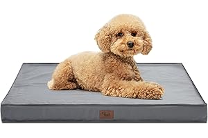 Orthopedic Outdoor Dog Bed: A Haven for Your Four-Legged Friend