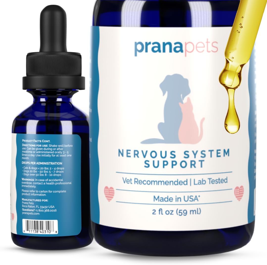 Nervous System Support