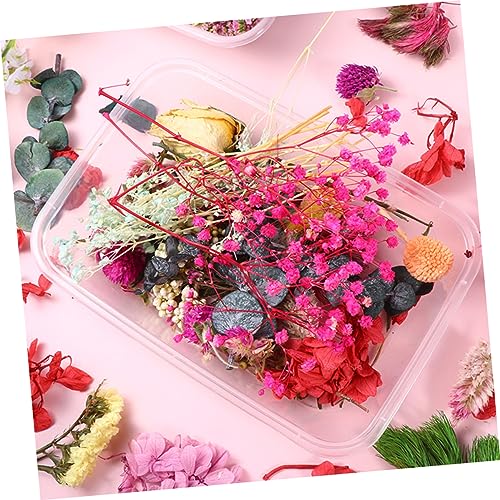 Flores secas prensadas reales para manualidades miniatura 4