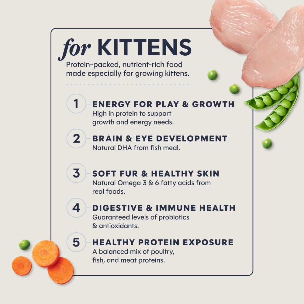 Instinct Receta Original sin Grano Natural seco Cat Alimentos por la Naturaleza de la Variedad