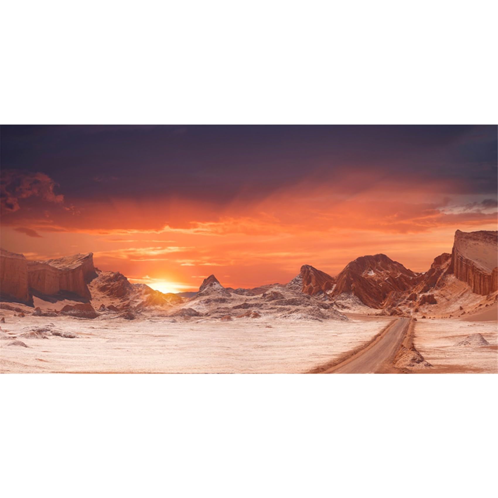 MIRRORANG 61x41cm Sun and Desert Terrarium Background Orange Reptile Habitat Background Vinyl Background โ image 1