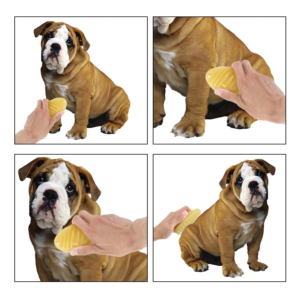 Brosse à Poils de Chien, Outil de toilettage Efficace for Un Pelage Bien entretenu, Brosse for Animaux de Compagnie, Brosse à Poils de Chien Efficace(Small)