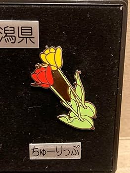 Amazon.co.jp: 新潟県のシンボル ピンバッジセット 県鳥朱鷺