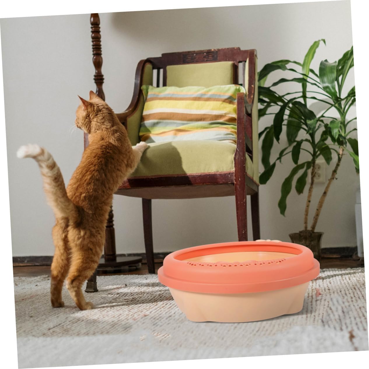 Cat Litter Box with Shovel -Splashing Pet Toilet for Kitten and Puppy Large Size Easy to