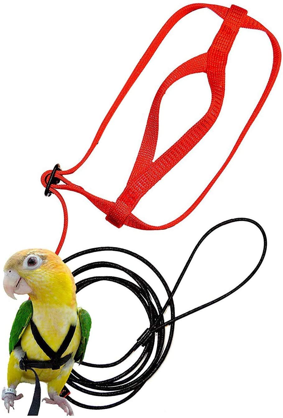 AJHPet Bird Harness and Leash,Adjustable Parrot Bird Harness Leash - Pet Anti-Bite Training Rope Outdoor Flying Harness and Leash