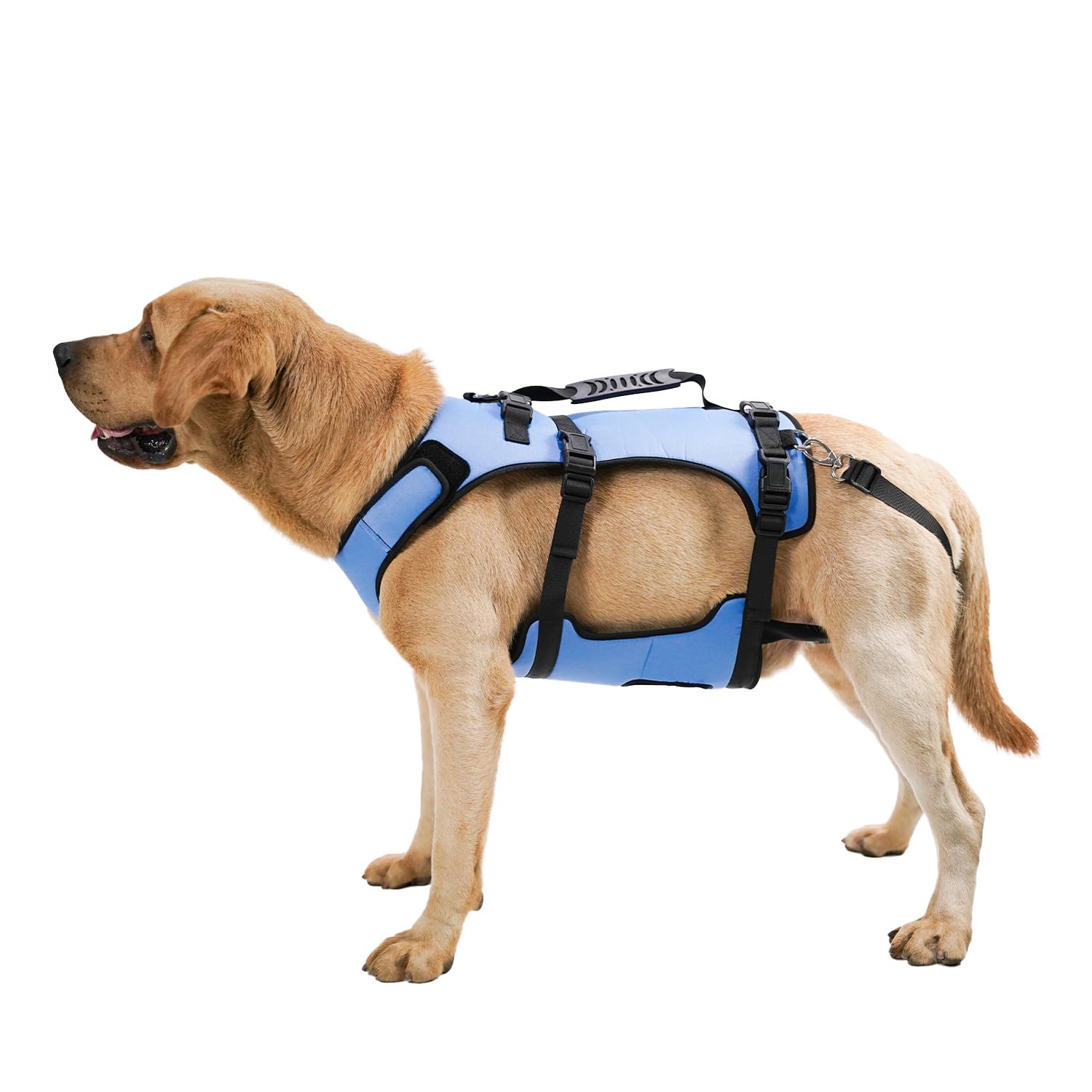 COODEO Dog Harness, Full Body Support & Recovery Sling, Adjustable & Breathable, for Senior, Disabled, Joint Injured, Arthritic & Paralyzed Dogs. (Blue, M)